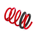 APR Roll-Control Lowering Springs | 8V S3 · RS3