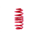 APR Roll-Control Lowering Springs | 8Y RS3