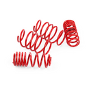 APR Roll-Control Lowering Springs | MK7 GLI