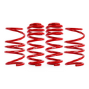 APR Roll-Control Lowering Springs | MK8 R