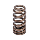 APR Valve Spring Kit | MK2 TT RS