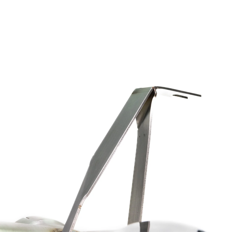 ARM Motorsports Dual Exit Race Exhaust | F22 · F23 M240i · F30 · F34 340i · F32 · F33 · F36 440i | 3.0L Turbo I6 [B58]