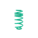 Integrated Engineering Lowering Springs | B9 A4 · S4