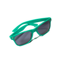 Integrated Engineering Polarized Sunglasses