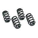 NEUSPEED Sport Springs Kit | B5 Passat | 2.8L V6