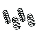 NEUSPEED Sport Springs Kit | B5 S4